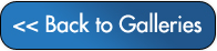backtoGalleries